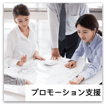 food_solution_promotion